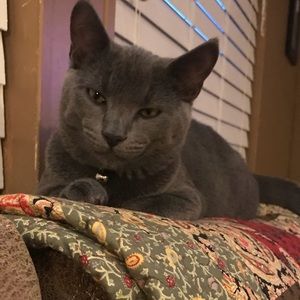 Meet your Posher, Tara